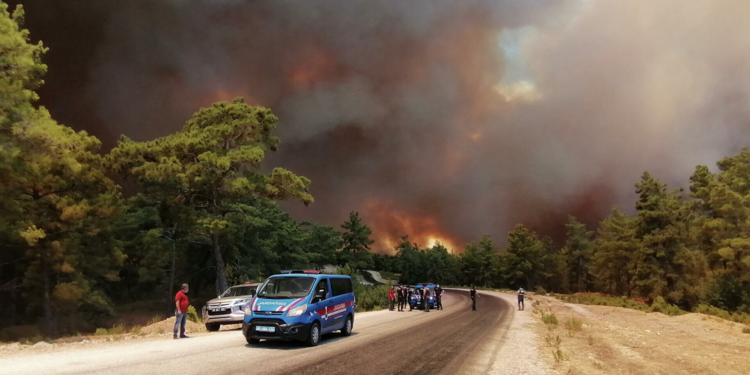 Лесные пожары рядом с популярными курортами в Турции: Три человека погибли, 180 — обратились за медпомощью