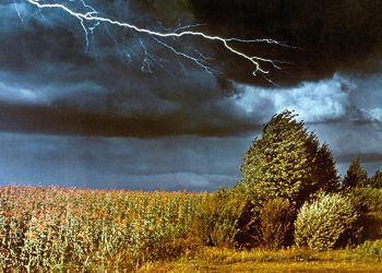 В стране с начала года зарегистрировано 40 исключительных природных ситуаций