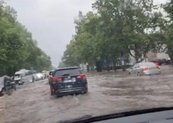 В полиции рассказали, где автомобилисты смогут забрать смытые дождем номера