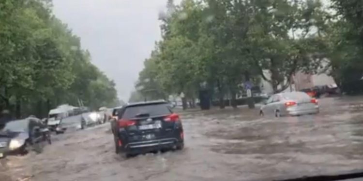 В полиции рассказали, где автомобилисты смогут забрать смытые дождем номера