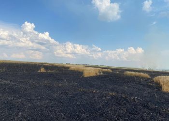 В Тараклийской районе пожар уничтожил 35 гектаров пшеницы