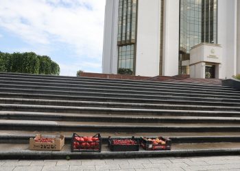 Возмущенные аграрии оставили ящики с фруктами у президентуры и потребовали обещанного возмещения убытков | VIDEO