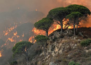 В Сардинии объявили режим ЧС из-за сильнейших пожаров
