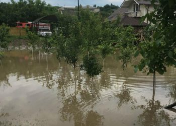 Сотни гектаров урожая по всей стране пострадали от проливных дождей | VIDEO