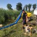 Ploile continuă să distrugă roada. Au fost inundate circa 100 de hectare de teren | VIDEO
