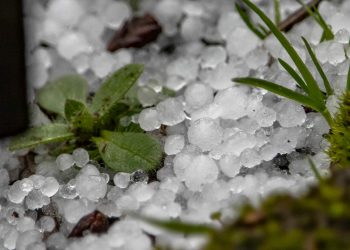 Ploile cu grindină au provocat pagube imense în Găgăuzia. Mai multe livezi și terenuri agricole au fost distruse | VIDEO