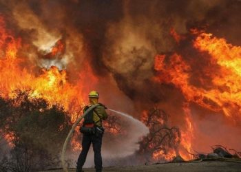 В России горят тысячи гектаров леса: есть жертва