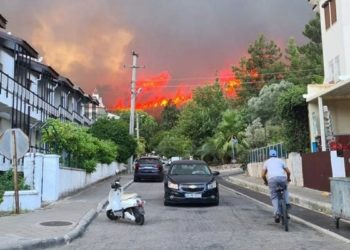 В Турции задержаны подозреваемые в поджогах