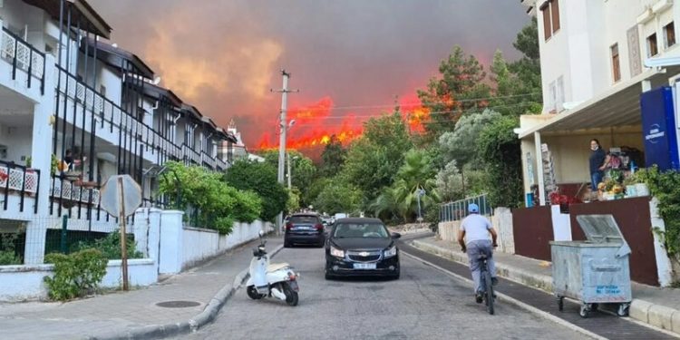 В Турции задержаны подозреваемые в поджогах