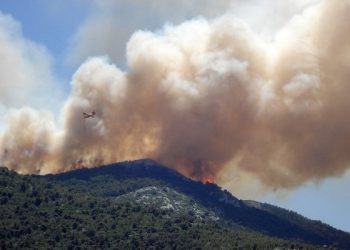 На Кипре крупнейший за последние 40 лет лесной пожар