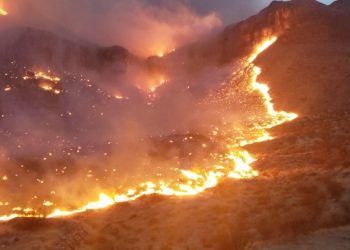 „Râuri de foc” în Arizona. Un șofer a surprins imagini incredibile cu incendiile de pe versanții din apropierea unei șosele | FOTO