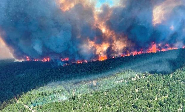 Un oraș întreg în flăcări după recordul de temperaturi. În localitatea British Columbia sunt 50 de grade | FOTO