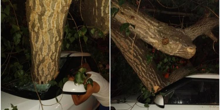 Vântul a făcut ravagii în capitală: Un șofer a găsit copacul, sub care s-a parcat, în salonul mașinii | FOTO