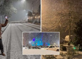 Ninsoare în sudul Braziliei: „Am 62 de ani şi nu am văzut niciodată zăpadă până acum” | VIDEO