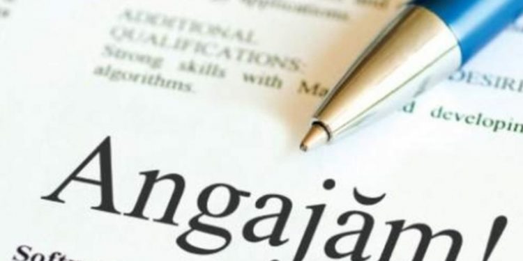 Numărul locurilor de muncă vacante în R.Moldova, în continuă creștere