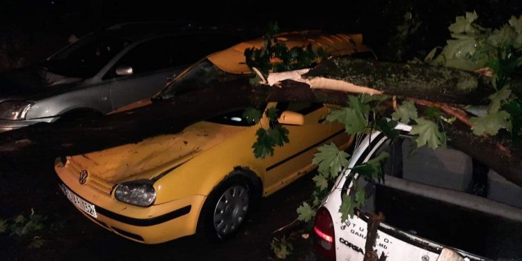 Furtuna a făcut ravagii în țară și în Chișinău. Precizările IGSU | FOTO