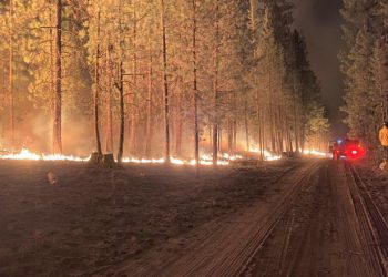 Incendii devastatoare în SUA. Flăcările sunt atât de intense încât „își pot crea propria vreme” | VIDEO