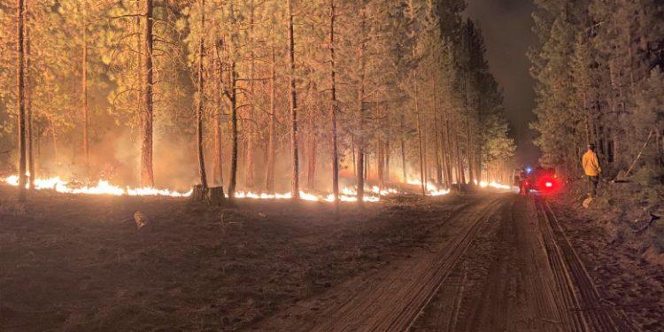 Incendii devastatoare în SUA. Flăcările sunt atât de intense încât „își pot crea propria vreme” | VIDEO