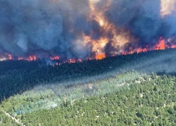500 de oameni au murit în Canada. Situația riscă să fie și mai rea: „cupola de căldură” se deplasează spre preerie | VIDEO