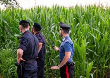 Două tinere ucise în lanul de porumb, strivite de o combină agricolă. Una din ele a apucat să sune la 112