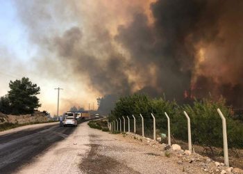 Incendiile de vegetație devastează mai multe zone turistice din Turcia. Mesajul președintelui Recep Tayyp Erdogan | VIDEO