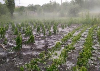 Consecințe în urma ploilor: Acoperișuri distruse, drumuri spălate și sute de hectare de teren, inundate