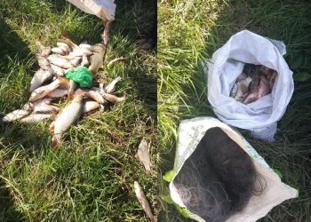 Doi bărbați, prinși la pescuit ilegal în zona de frontieră. Au reușit să captureze 10 kg de pește | VIDEO