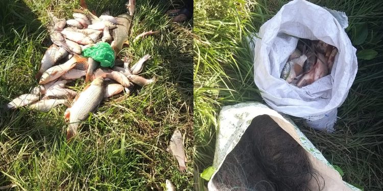 Doi bărbați, prinși la pescuit ilegal în zona de frontieră. Au reușit să captureze 10 kg de pește | VIDEO