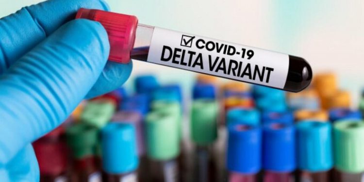 COVID-19: Ce au arătat rezultatele probelor emise pentru examinare în Germania privind depistarea prezența tulpinilor Delta și Delta+ în Republica Moldova