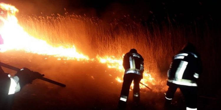 20 de incendii de vegetație, produse în 24 de ore. Atenționările pompierilor