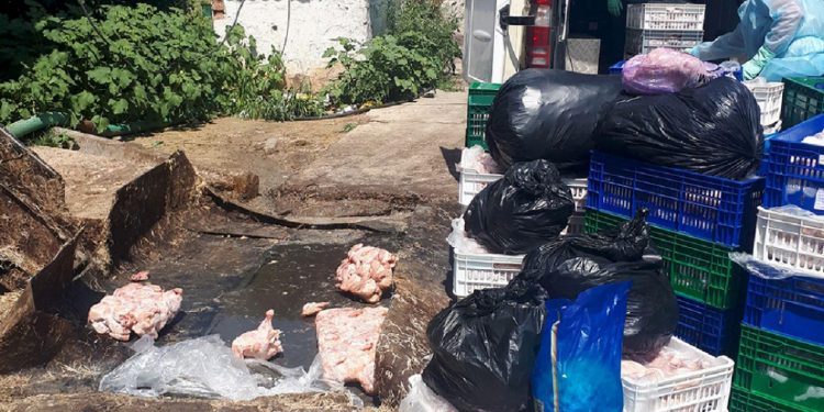В Бельцах выявили 1,6 тонны заражённого сальмонеллой куриного мяса | FOTO