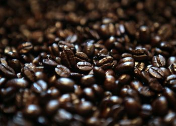 Prețul cafelei a urcat la un nivel record. Peste 200.000 de hectare ale celui mai mare producător au fost distruse