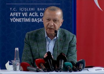 Эрдоган обещал «вырвать сердце» поджигателям лесов