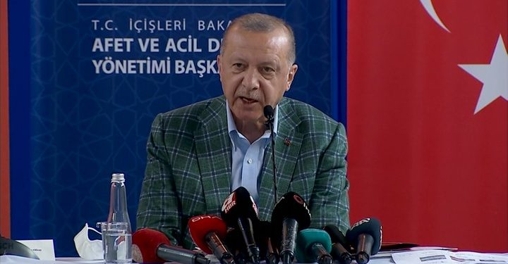 Эрдоган обещал «вырвать сердце» поджигателям лесов