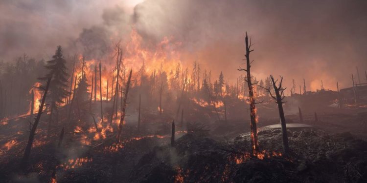 В результате лесных пожаров в Алжире погибли 42 человека