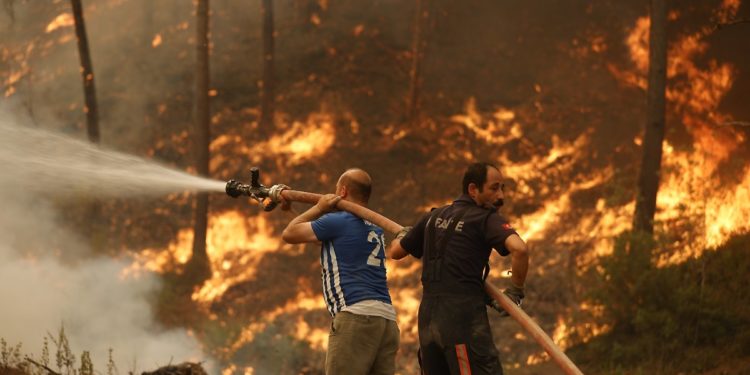 Лесные пожары бушуют в Средиземноморье