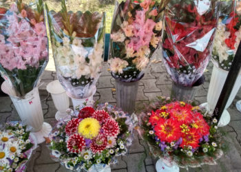 Налоговая служба проведет рейды на цветочных рынках Кишинева и Бельц