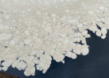 Море в Одессе покрылось странными белыми пятнами