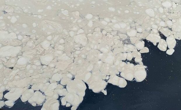 Море в Одессе покрылось странными белыми пятнами