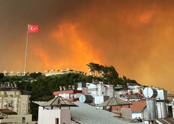 Пожары в Турции: сгоревшие леса показали из космоса