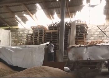 Satul Drujba din raionul Ungheni «atacat» de urgie. Zeci de hectare agricole au fost distruse, gospodării au rămas cu acoperișurile și gardurile deteriorate | VIDEO