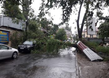 Furtuna a lăsat zeci de localități fără lumină și drumuri blocate de copaci puși la pământ de rafale. Ce spun meteorologii despre fenomenele climatice | VIDEO