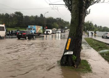 Ploi abundente în Moldova: Copaci dezrădăcinați și mașini înghițite de apă. Aproape 40 de localități au rămas fără curent | VIDEO