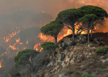 Imagini apocaliptice în mai multe țări. Situația este critică în Italia din cauza incendiilor, dar Grecia şi-a mobilizat armata în sprijinul pompierilor | VIDEO