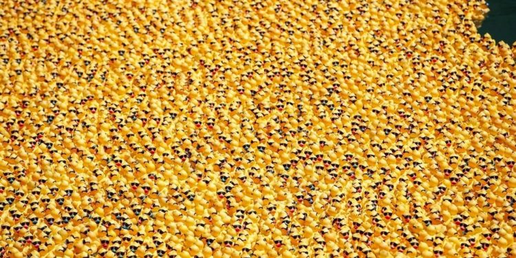 В Чикаго сбросили в реку 70 тысяч резиновых уток