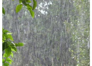 12 localități din cinci raioane au rămas fără curent electric în urma intemperiei