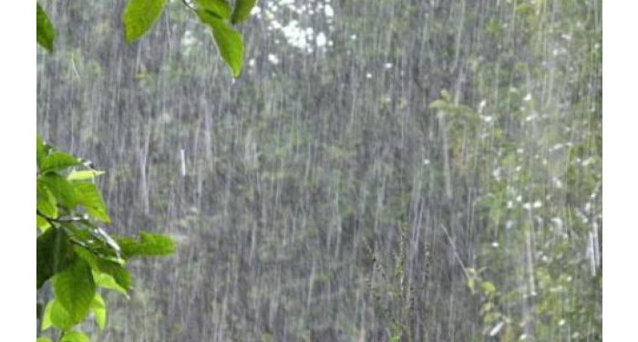 12 localități din cinci raioane au rămas fără curent electric în urma intemperiei