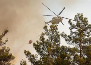 В Турции локализовали более 100 лесных пожаров