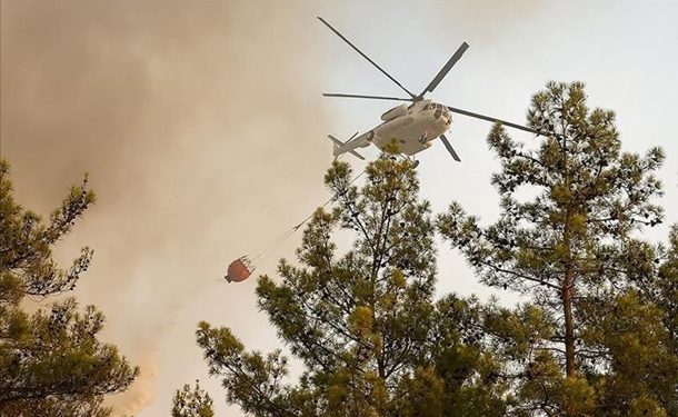В Турции локализовали более 100 лесных пожаров