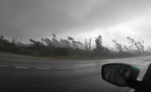 Туристы сняли видео урагана, вырывавшего деревья